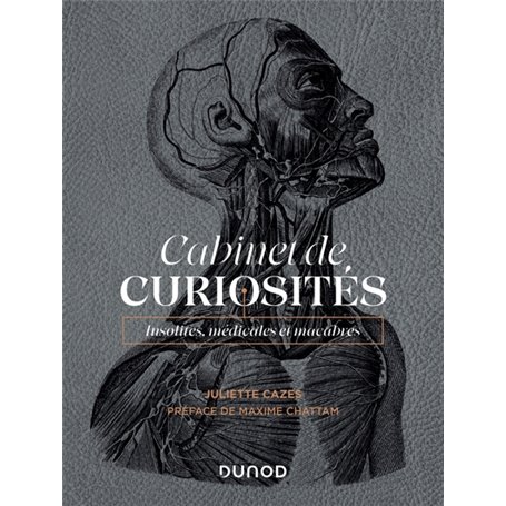 Cabinet de curiosités