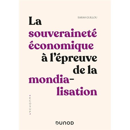 La souveraineté économique à l'épreuve de la mondialisation