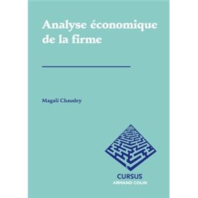 Analyse économique de la firme