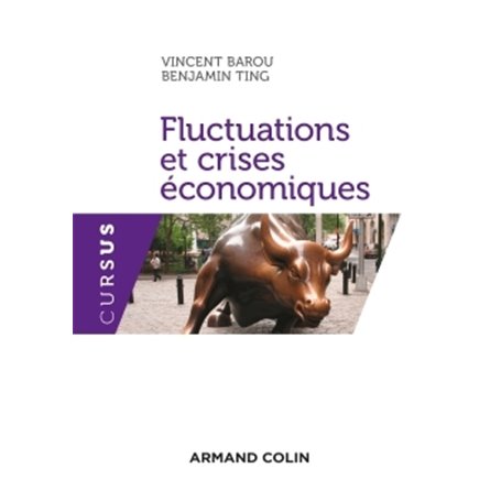 Fluctuations et crises économiques