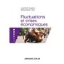 Fluctuations et crises économiques