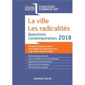 La ville, les radicalités - Questions contemporaines IEP 2018