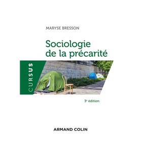 Sociologie de la précarité - 3e éd.