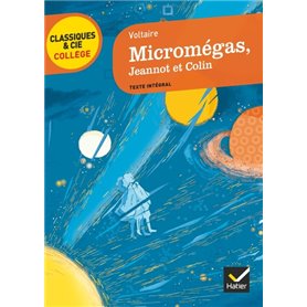 Micromégas