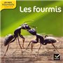 Les Docs Ribambelle Cycle 2 éd. 2014 - Les fourmis