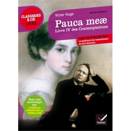 Pauca meae (Livre IV des Contemplations)