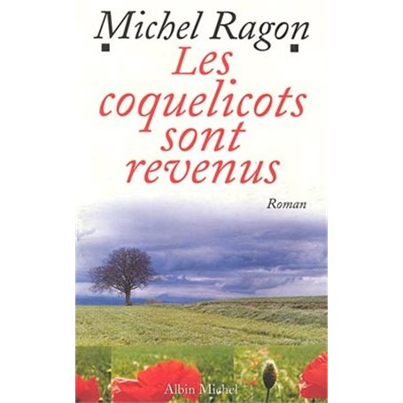 Les coquelicots sont revenus