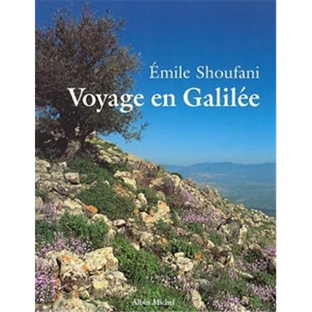 Voyage en Galilée