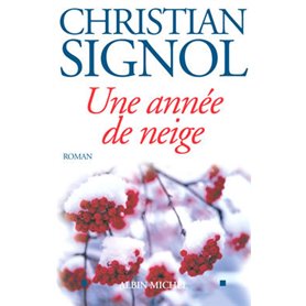 Une année de neige