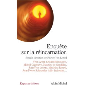 Enquête sur la réincarnation