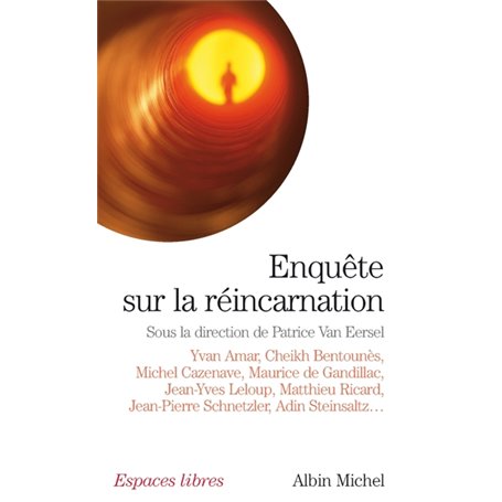 Enquête sur la réincarnation