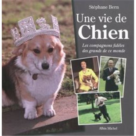 Une vie de chien