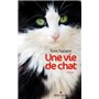 Une vie de chat