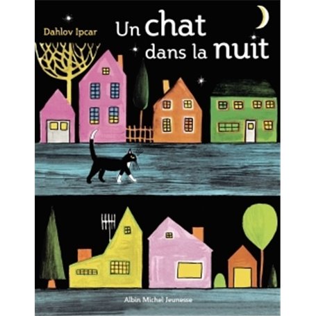 Un chat dans la nuit