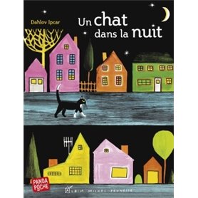 Un chat dans la nuit