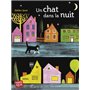 Un chat dans la nuit