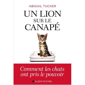 Un lion sur le canapé