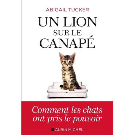 Un lion sur le canapé