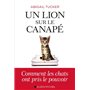 Un lion sur le canapé