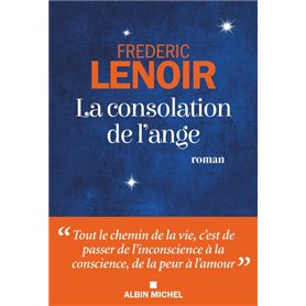 La Consolation de l'ange