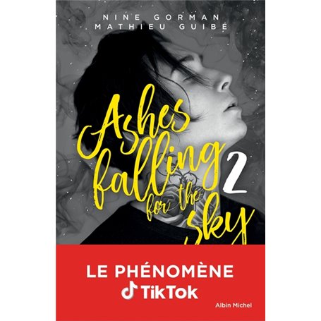 Ashes falling for the sky - tome 2