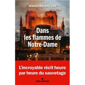 Dans les flammes de Notre-Dame