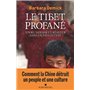 Le Tibet profané