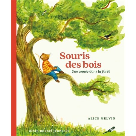 Souris des bois - Une année dans la forêt