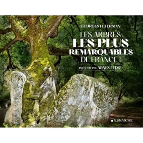 Les Arbres les plus remarquables de France