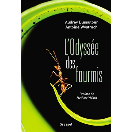 L'Odyssée des fourmis