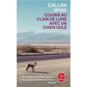 Courir au clair de lune avec un chien volé