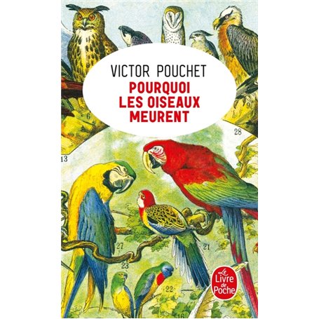 Pourquoi les oiseaux meurent