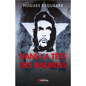 Dans la tête des insurgés