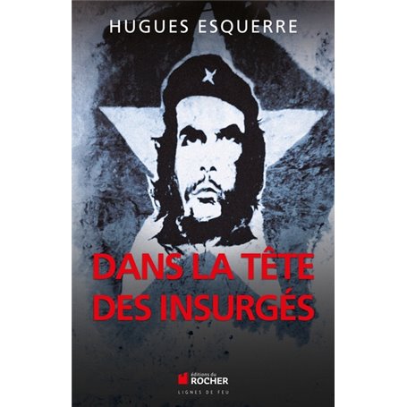 Dans la tête des insurgés