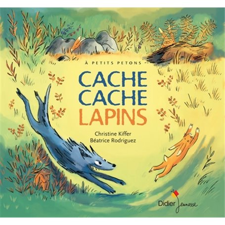 Cache Cache Lapins