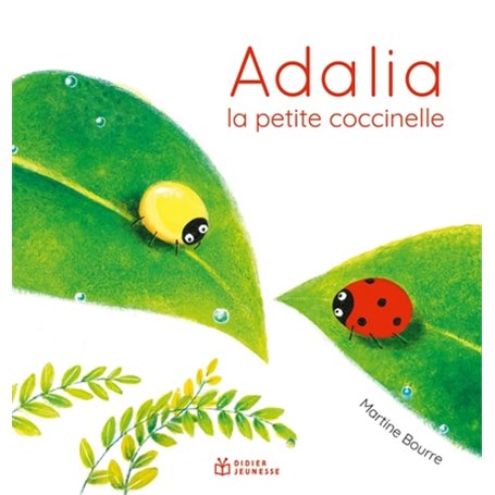 Adalia, la petite coccinelle