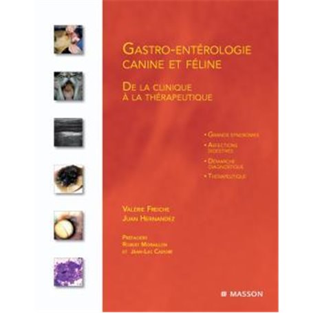 Gastro-entérologie canine et féline