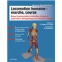 Locomotion humaine : marche, course