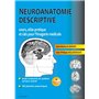 Neuroanatomie descriptive