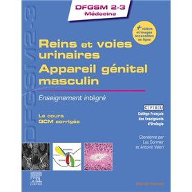 Reins et voies urinaires - Appareil génital masculin