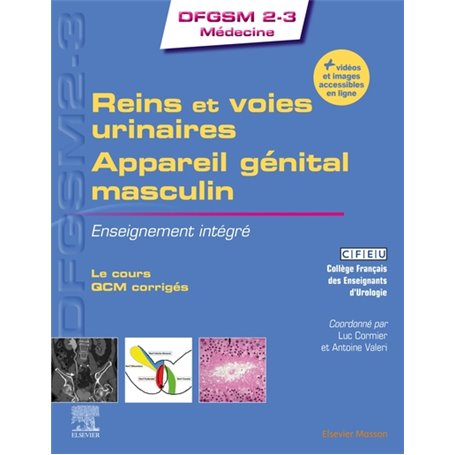 Reins et voies urinaires - Appareil génital masculin