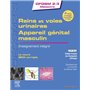 Reins et voies urinaires - Appareil génital masculin