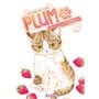 Plum, un amour de chat T14