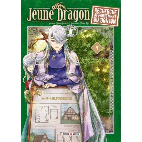 Jeune Dragon recherche appartement ou donjon T04