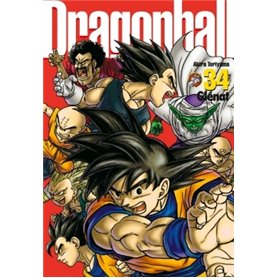 Dragon Ball perfect edition - Tome 34