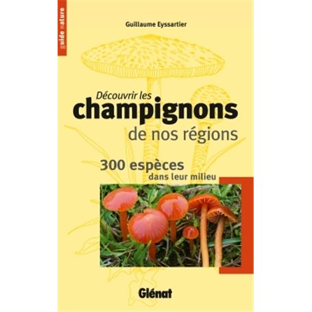 Découvrir les champignons de nos régions