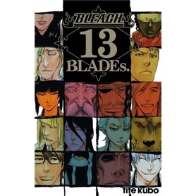 Bleach Data book - 13th Blades