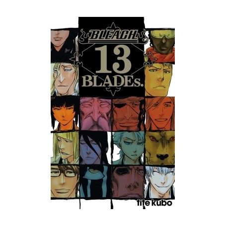 Bleach Data book - 13th Blades