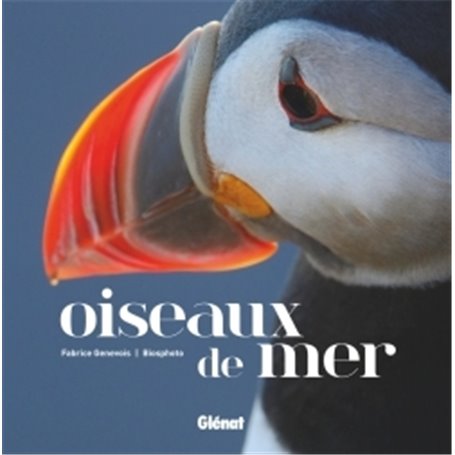 Oiseaux de mer