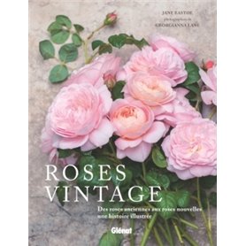 Roses vintage